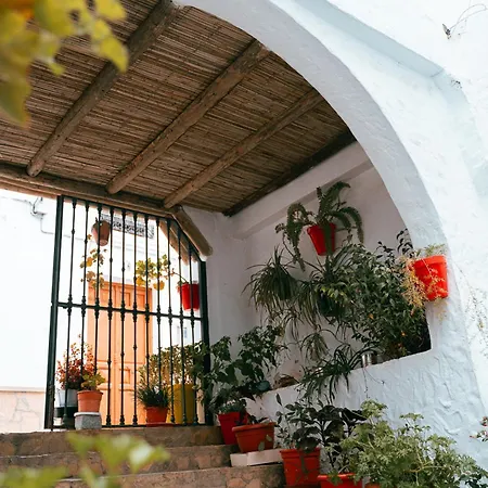 Salati El Gastor